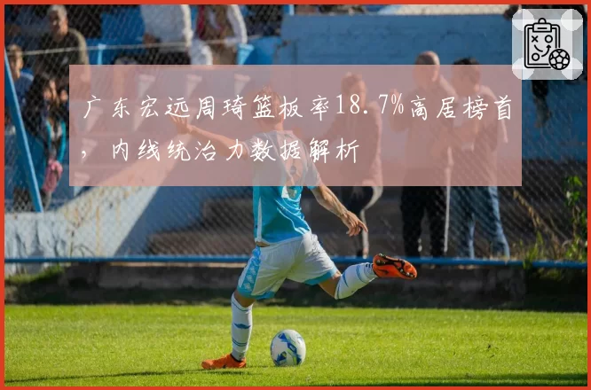 广东宏远周琦篮板率18.7%高居榜首，内线统治力数据解析